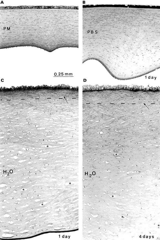 Figure 2  