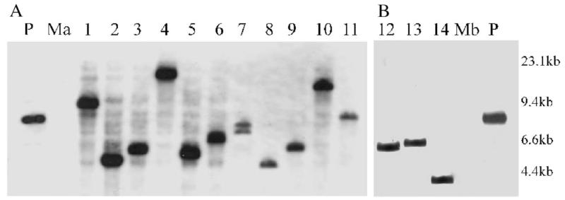 Fig. 2