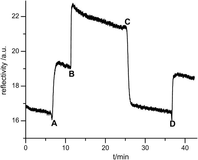 FIGURE 4