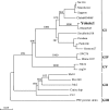 FIG. 1.