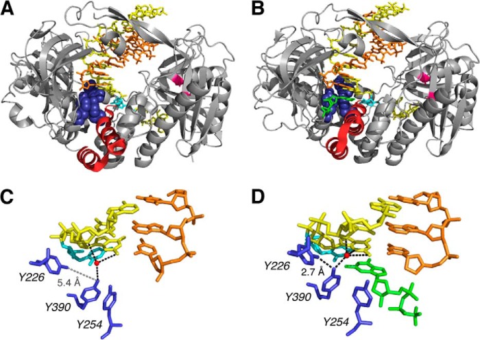 FIGURE 1.