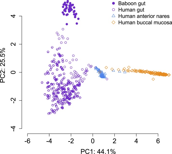 Figure 1—figure supplement 5.