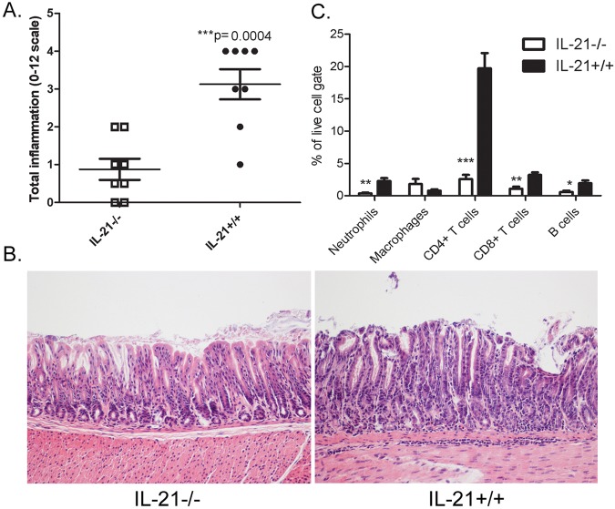 FIG 2 