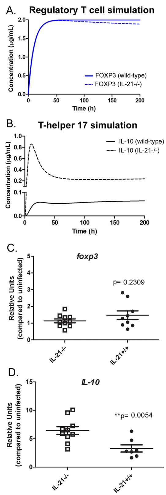 FIG 6 