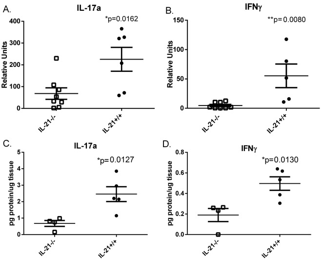 FIG 3 