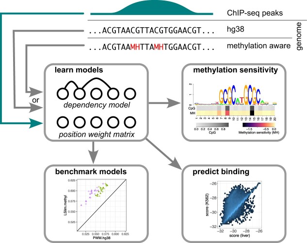 Graphical Abstract