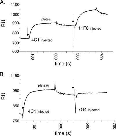 FIG. 4.