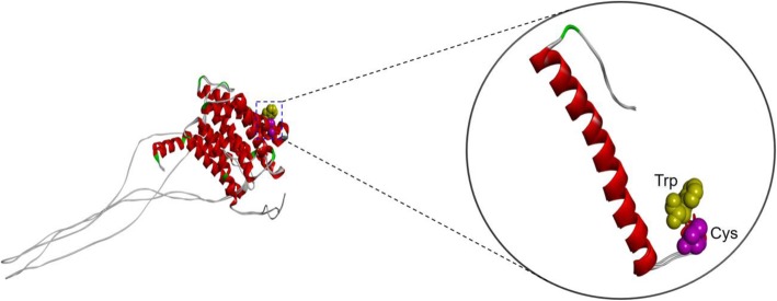 Fig. 4
