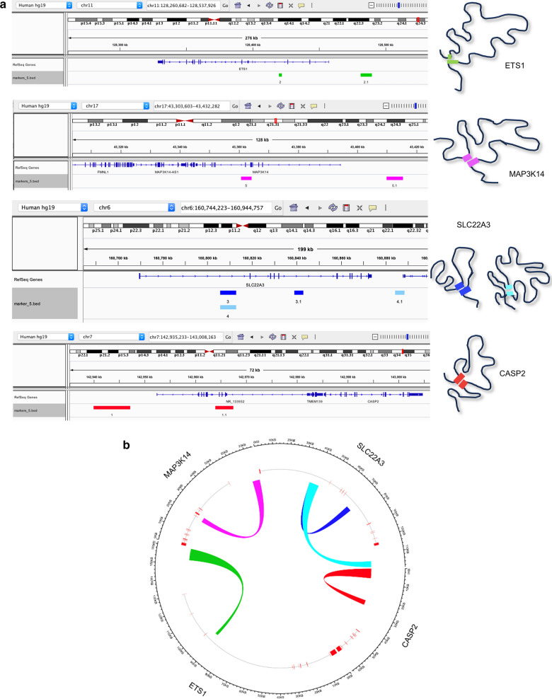 Fig. 3