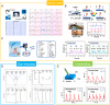 FIGURE 22