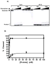 Fig. 10