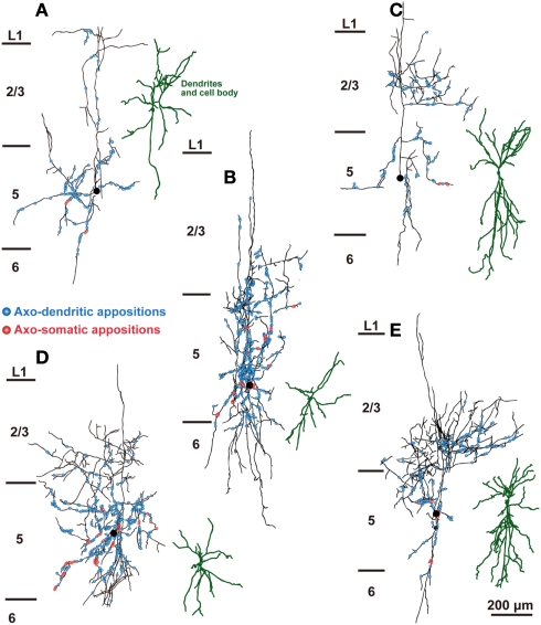 Figure 5