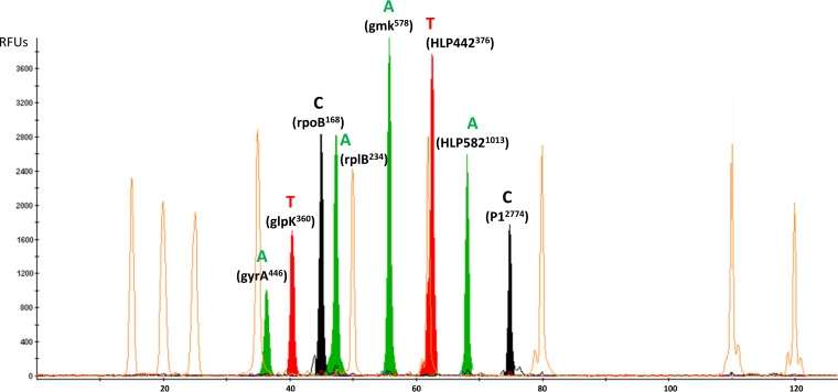 FIG 3