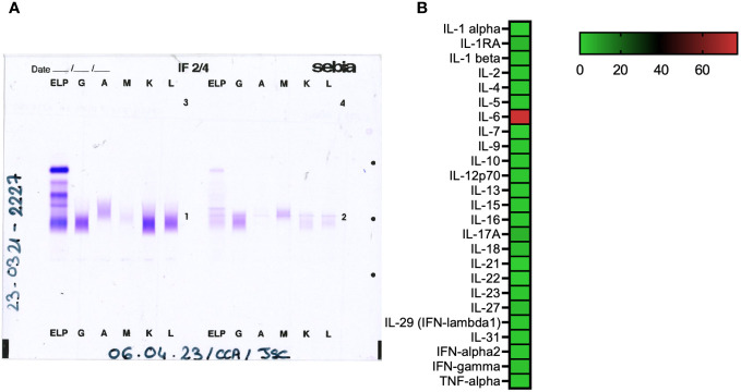 Figure 2