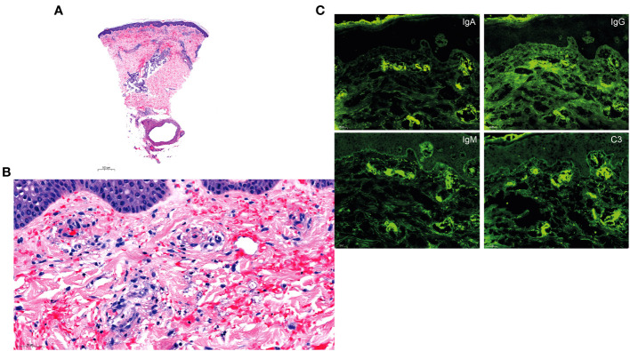 Figure 3