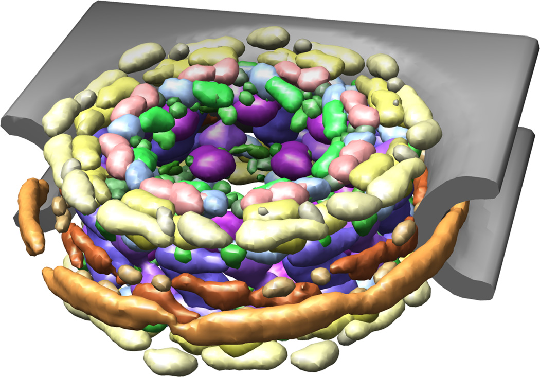 Figure 4