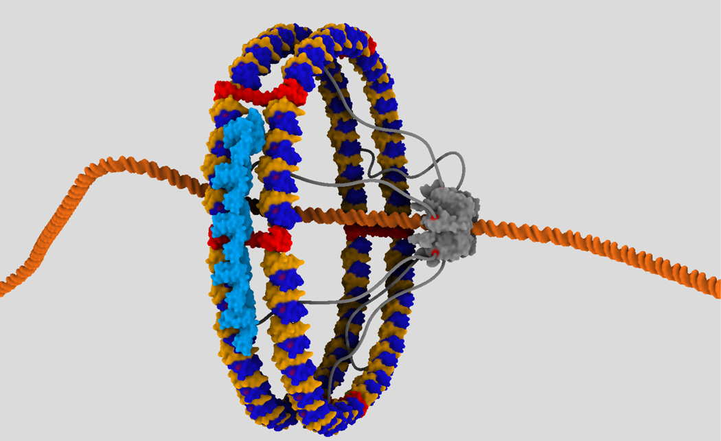Figure 5