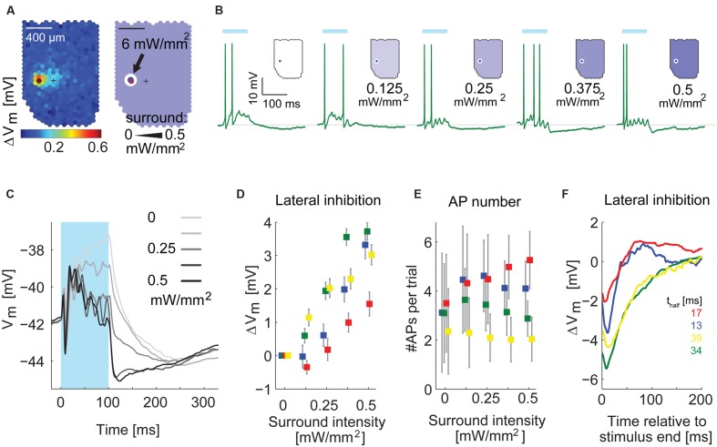 FIGURE 11