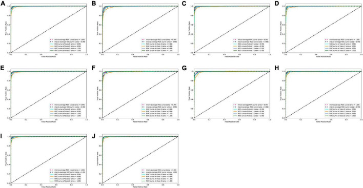 FIGURE 3