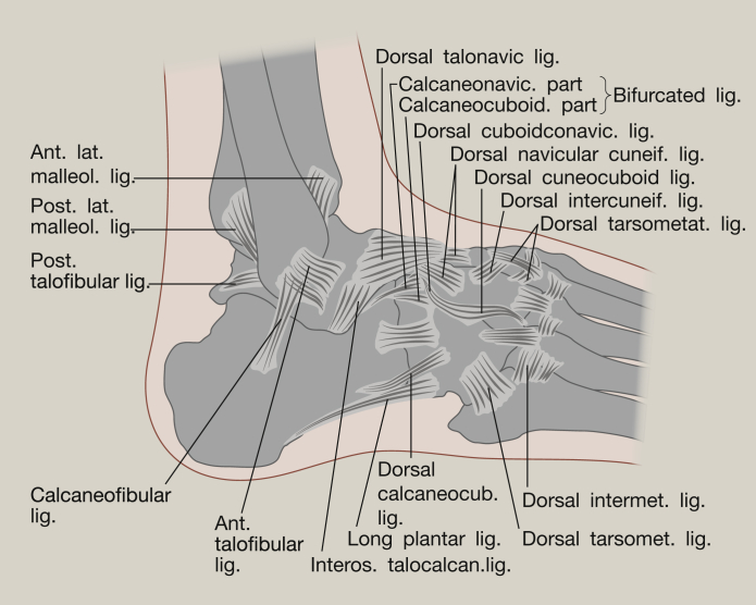 Figure 2