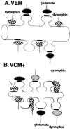 Fig. 7.