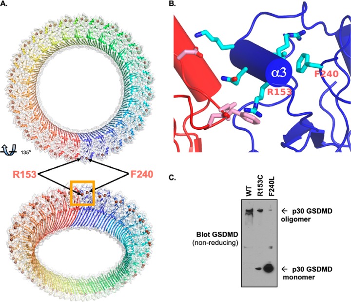 Figure 6.