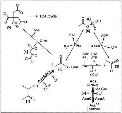 FIG. 9.