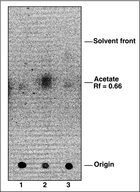 FIG. 8.