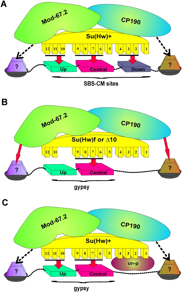 Fig 7