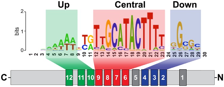 Fig 1