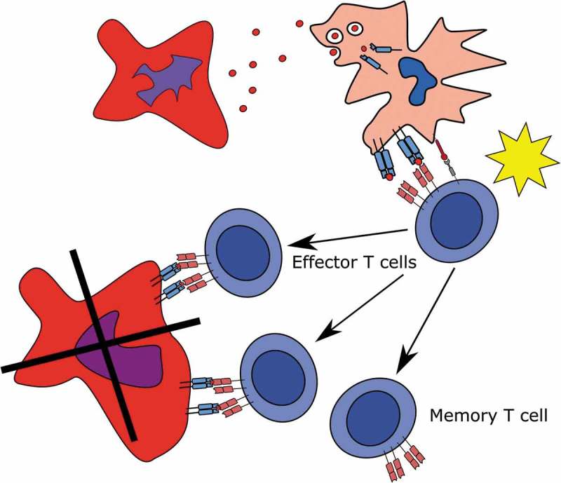 Figure 1.