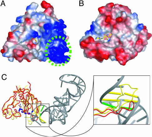 Fig. 6.