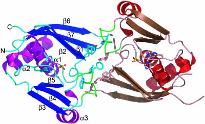 Fig. 3.