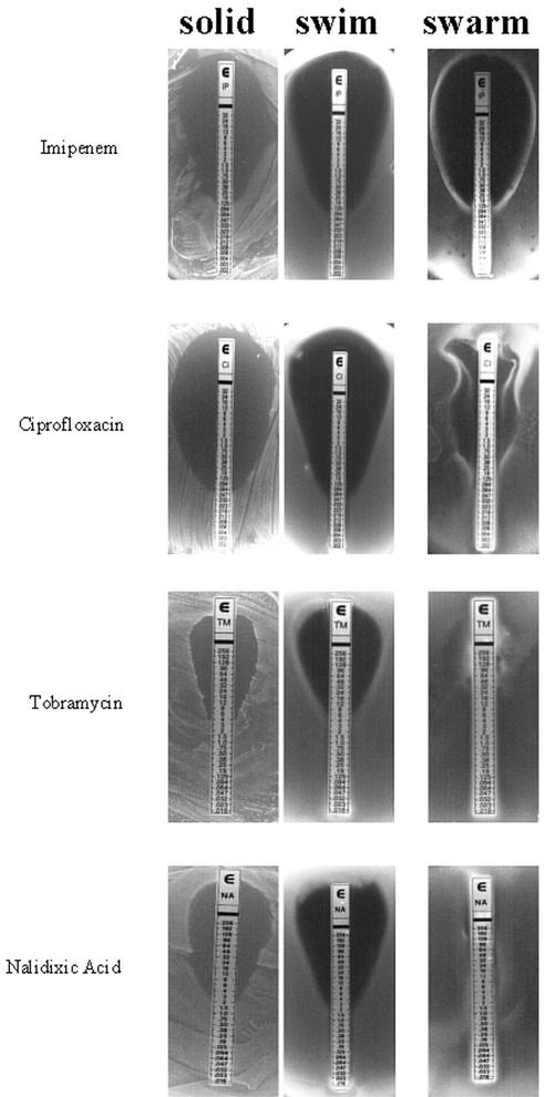 FIG. 4.