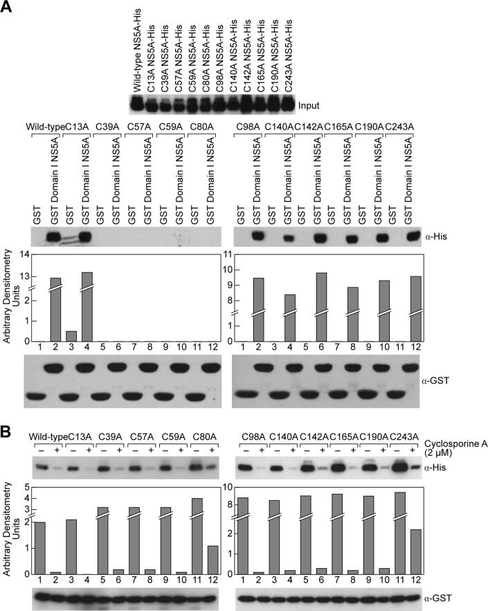 FIGURE 4.