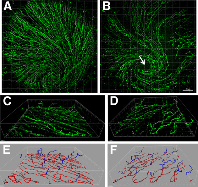 Figure 5