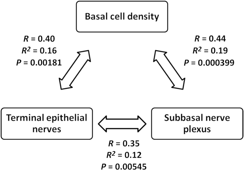 Figure 7