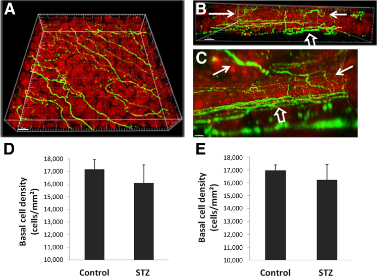 Figure 3