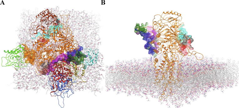 Fig. 1