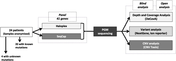 Fig. 1