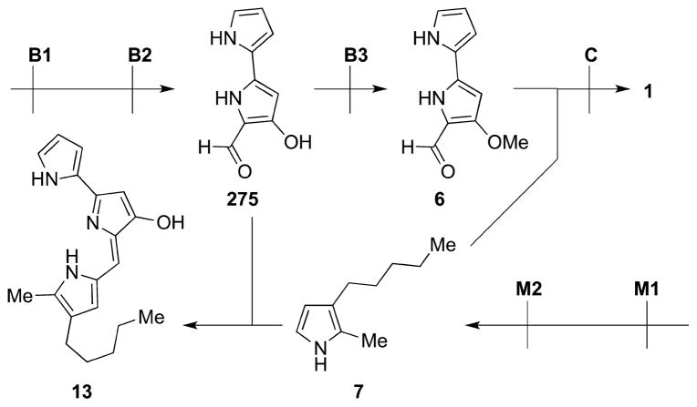 Figure 32