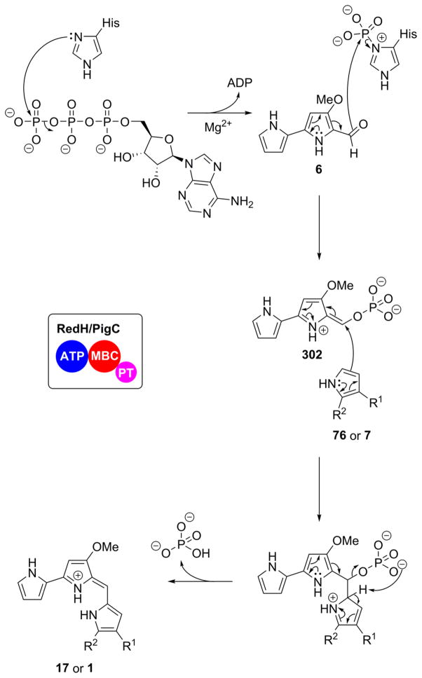 Scheme 30