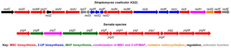 Figure 34