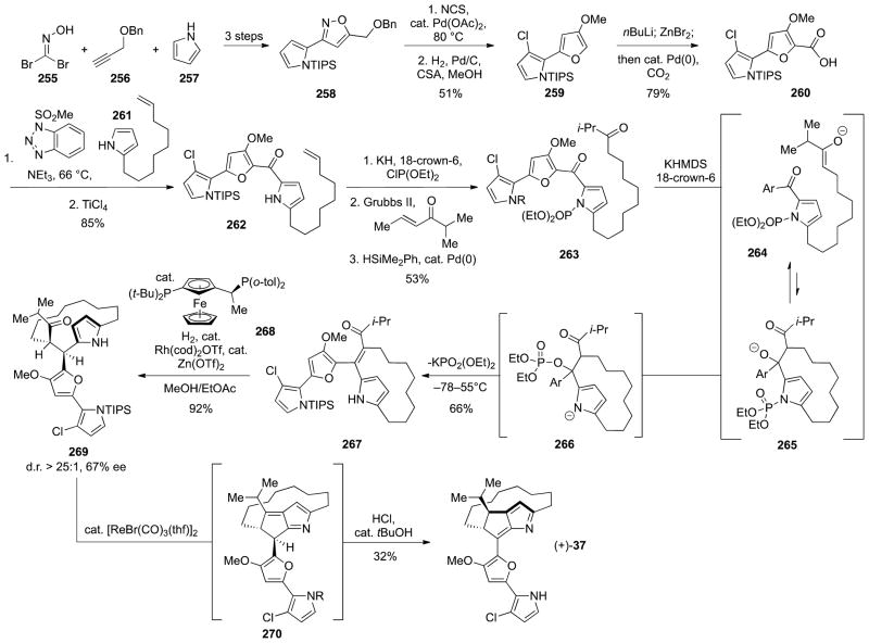 Scheme 23