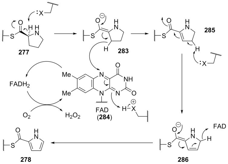 Scheme 25