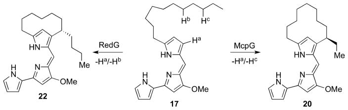 Scheme 31