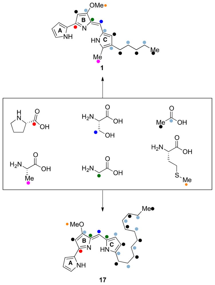 Figure 33