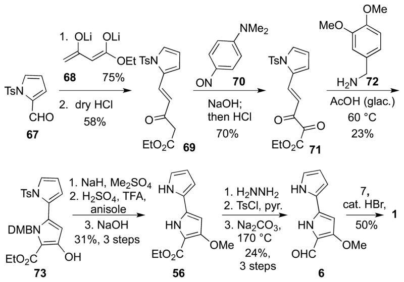 Scheme 4