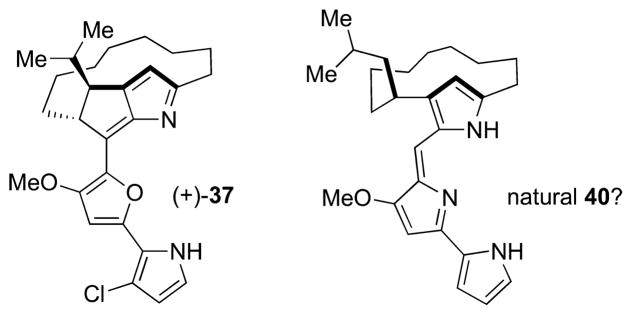 Figure 29