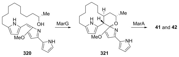 Scheme 37